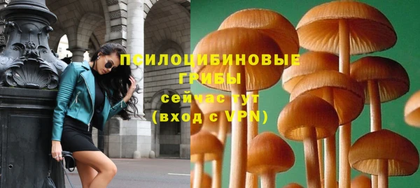 спайс Алексин