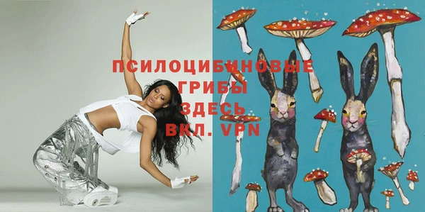 дурь Алзамай