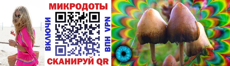 купить наркоту  Петушки  Галлюциногенные грибы ЛСД 